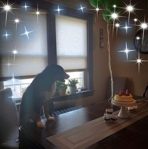 Meet your Posher, Isabel